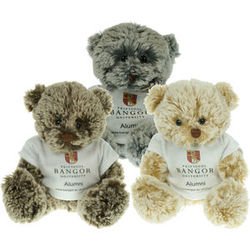 Premier Bear Collection