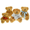 Sparkie Bear Range