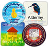 Gnalvic Coaster