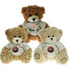 12cm Paw Bears