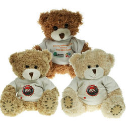 12cm Paw Bears
