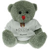15cm Red Nose Bear