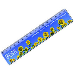 15cm Ruler