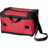Cool Bag