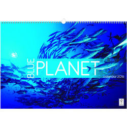 Blue Planet Wall Calendar 2016